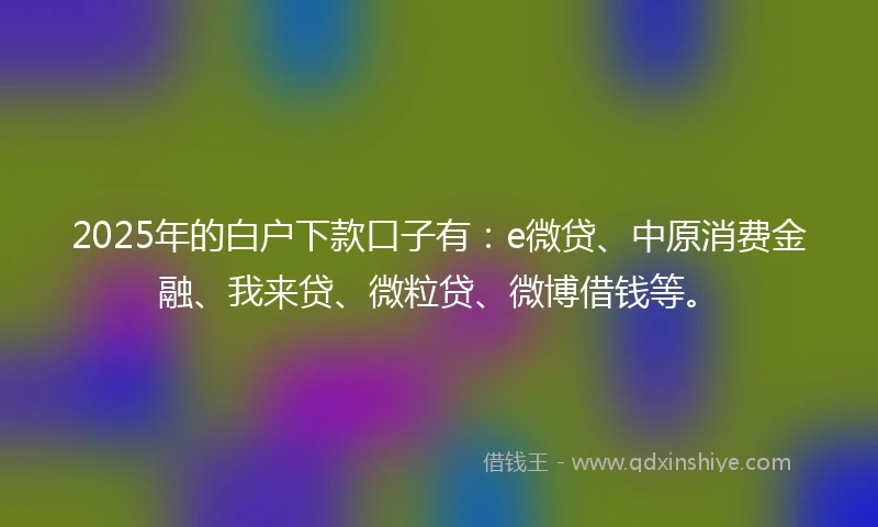 2025年的白户下款口子有：e微贷、中原消费金融、我来贷、微粒贷、微博借钱等。