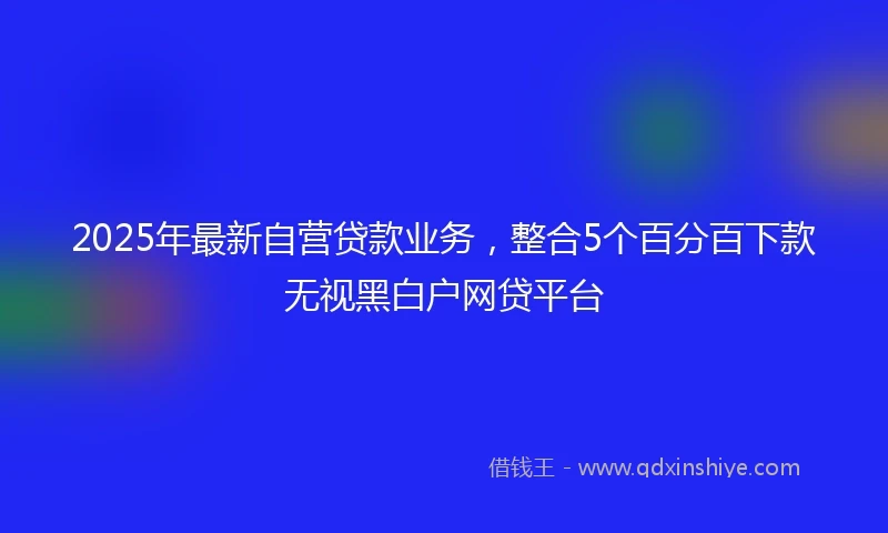2025年最新自营贷款业务，整合5个百分百下款无视黑白户网贷平台