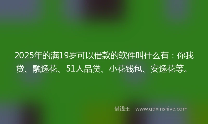 2025年的满19岁可以借款的软件叫什么有：你我贷、融逸花、51人品贷、小花钱包、安逸花等。
