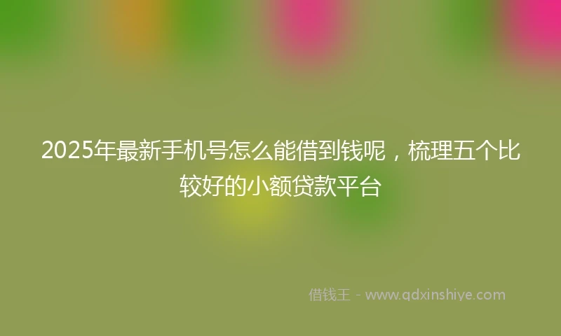 2025年最新手机号怎么能借到钱呢，梳理五个比较好的小额贷款平台