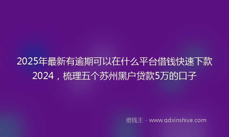 2025年最新有逾期可以在什么平台借钱快速下款2024，梳理五个苏州黑户贷款5万的口子