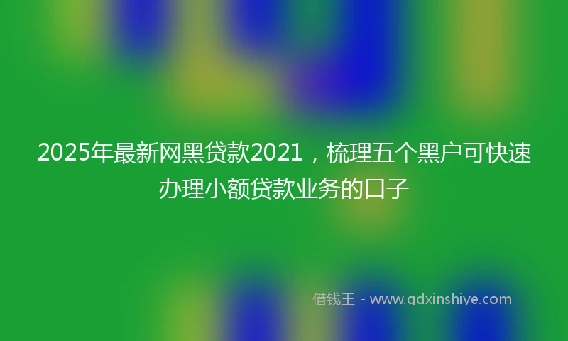 2025年最新网黑贷款2021，梳理五个黑户可快速办理小额贷款业务的口子