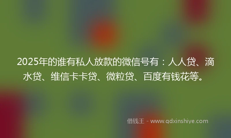 2025年的谁有私人放款的微信号有：人人贷、滴水贷、维信卡卡贷、微粒贷、百度有钱花等。