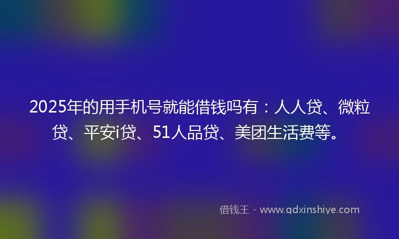 2025年的用手机号就能借钱吗有：人人贷、微粒贷、平安i贷、51人品贷、美团生活费等。