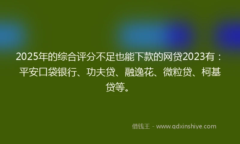 2025年的综合评分不足也能下款的网贷2023有：平安口袋银行、功夫贷、融逸花、微粒贷、柯基贷等。