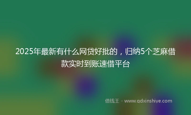 2025年最新有什么网贷好批的,归纳5个芝麻借款实时到账速借平台