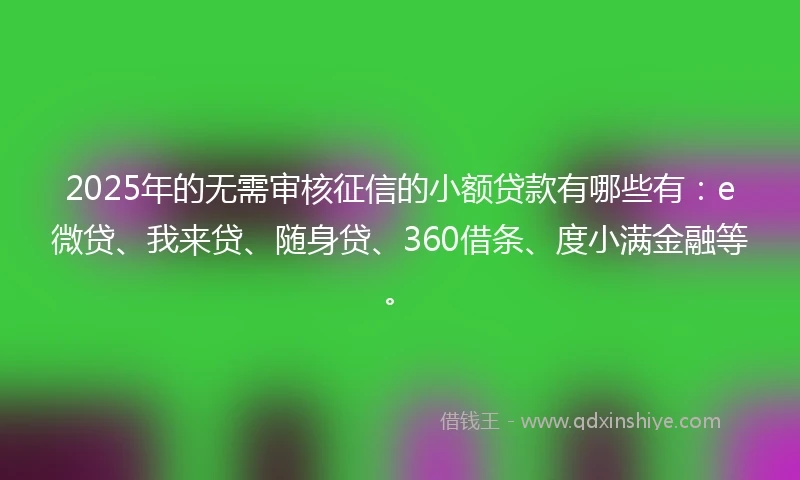 2025年的无需审核征信的小额贷款有哪些有：e微贷、我来贷、随身贷、360借条、度小满金融等。