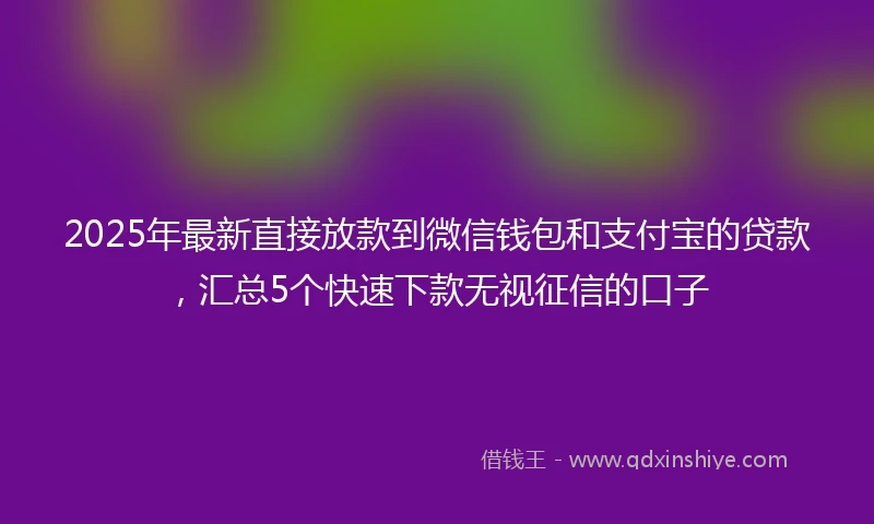 2025年最新直接放款到微信钱包和支付宝的贷款，汇总5个快速下款无视征信的口子