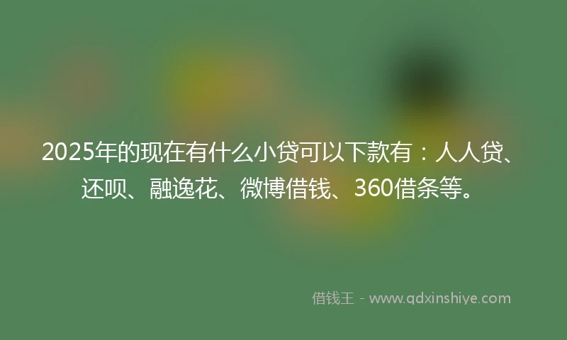 2025年的现在有什么小贷可以下款有：人人贷、还呗、融逸花、微博借钱、360借条等。