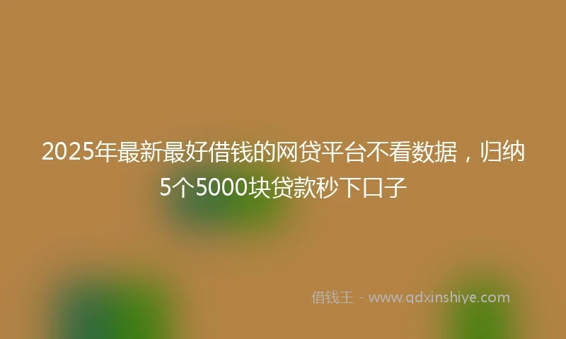 2025年最新最好借钱的网贷平台不看数据，归纳5个5000块贷款秒下口子