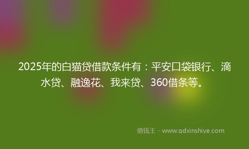 2025年的白猫贷借款条件有：平安口袋银行、滴水贷、融逸花、我来贷、360借条等。