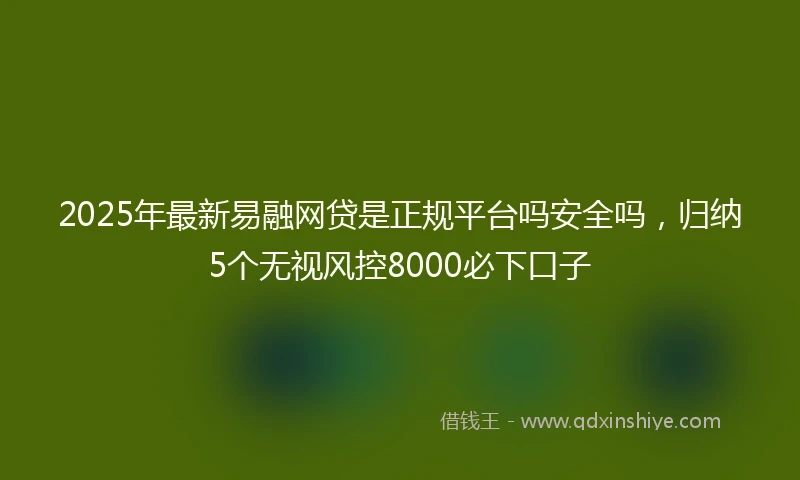 2025年最新易融网贷是正规平台吗安全吗，归纳5个无视风控8000必下口子