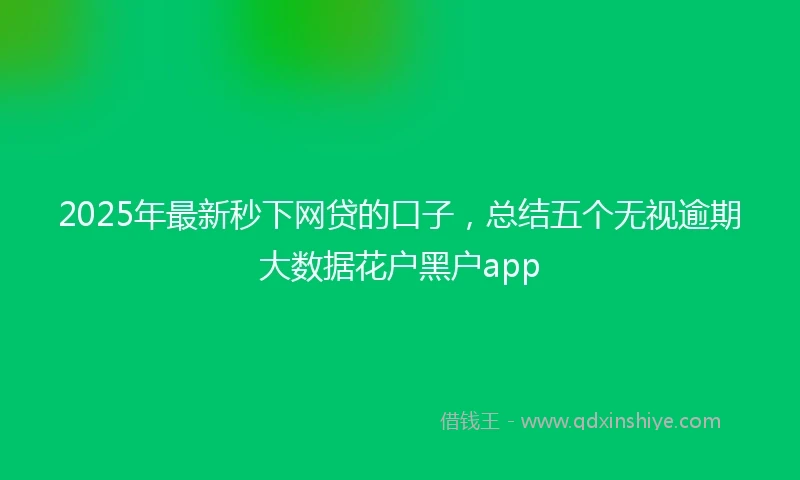 2025年最新秒下网贷的口子，总结五个无视逾期大数据花户黑户app