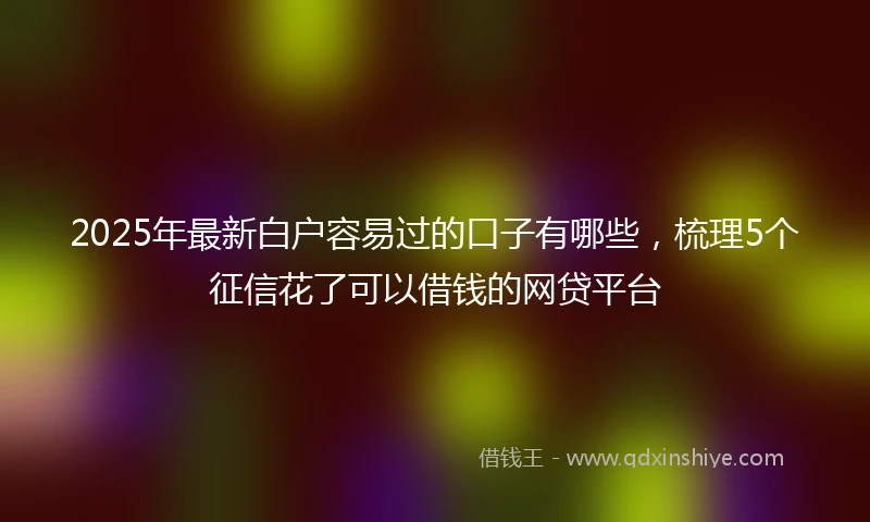 2025年最新白户容易过的口子有哪些，梳理5个征信花了可以借钱的网贷平台