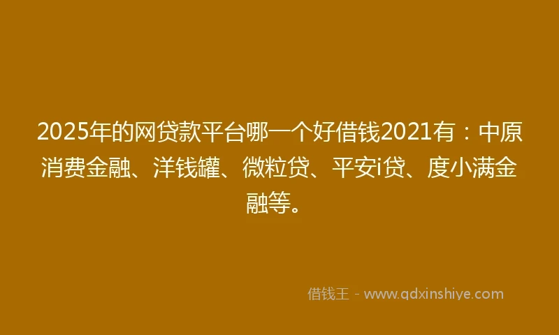 2025年的网贷款平台哪一个好借钱2021有：中原消费金融、洋钱罐、微粒贷、平安i贷、度小满金融等。