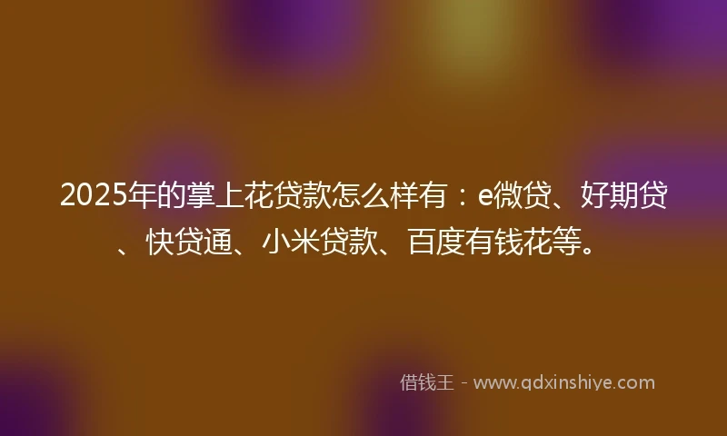 2025年的掌上花贷款怎么样有：e微贷、好期贷、快贷通、小米贷款、百度有钱花等。