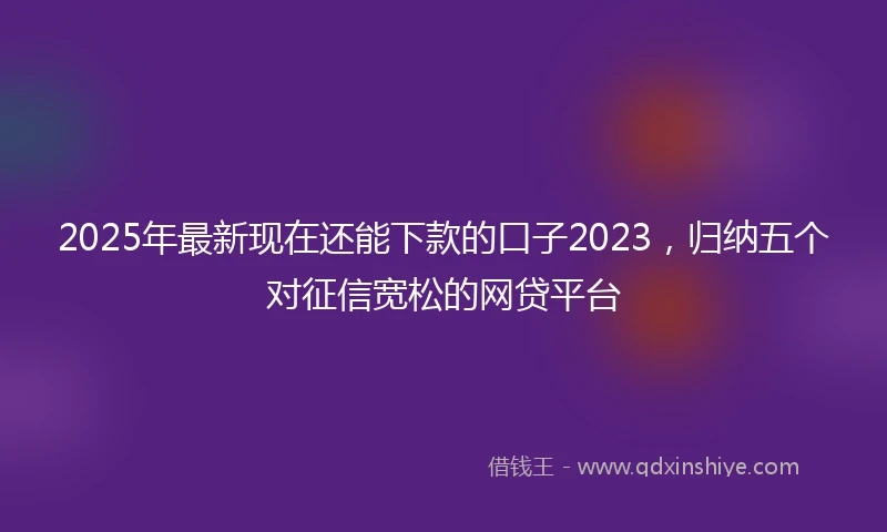 2025年最新现在还能下款的口子2023，归纳五个对征信宽松的网贷平台