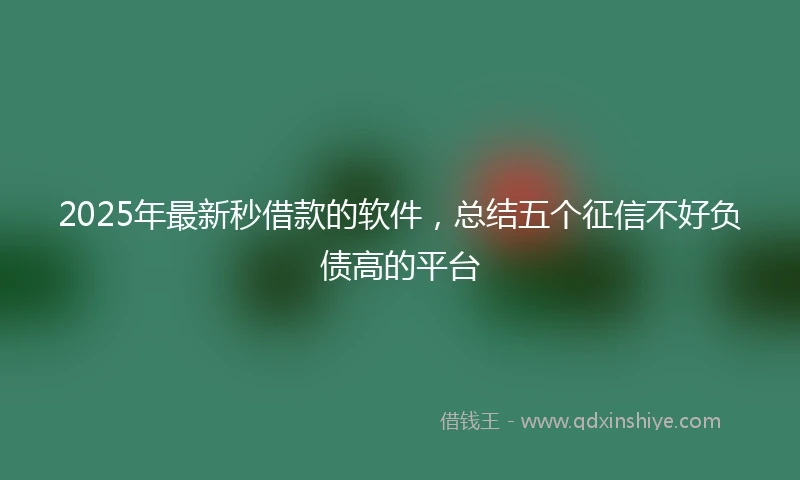 2025年最新秒借款的软件，总结五个征信不好负债高的平台