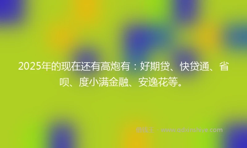 2025年的现在还有高炮有：好期贷、快贷通、省呗、度小满金融、安逸花等。