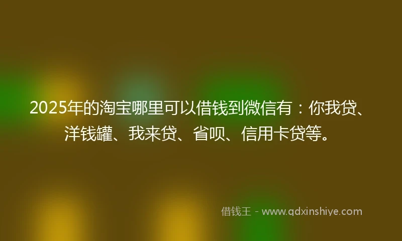 2025年的淘宝哪里可以借钱到微信有：你我贷、洋钱罐、我来贷、省呗、信用卡贷等。