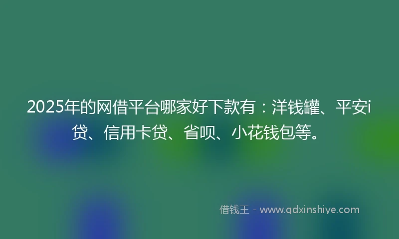 2025年的网借平台哪家好下款有：洋钱罐、平安i贷、信用卡贷、省呗、小花钱包等。