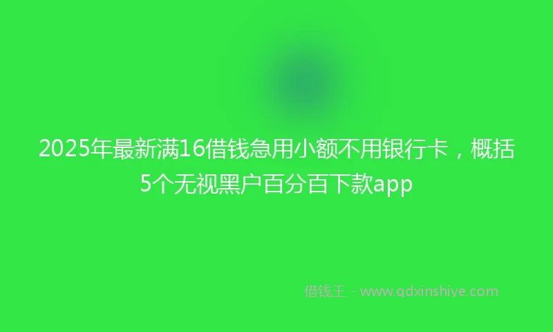 2025年最新满16借钱急用小额不用银行卡，概括5个无视黑户百分百下款app