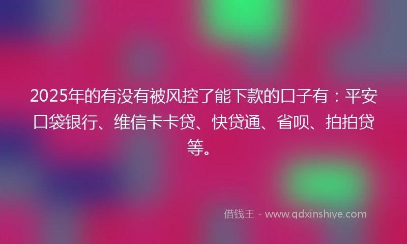 2025年的有没有被风控了能下款的口子有:平安口袋银行、维信卡卡贷、快贷通、省呗、拍拍贷等。