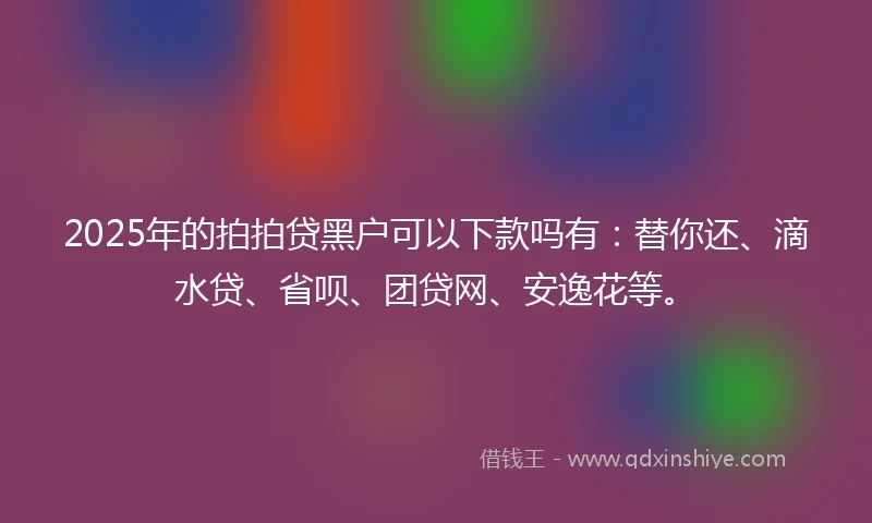 2025年的拍拍贷黑户可以下款吗有：替你还、滴水贷、省呗、团贷网、安逸花等。