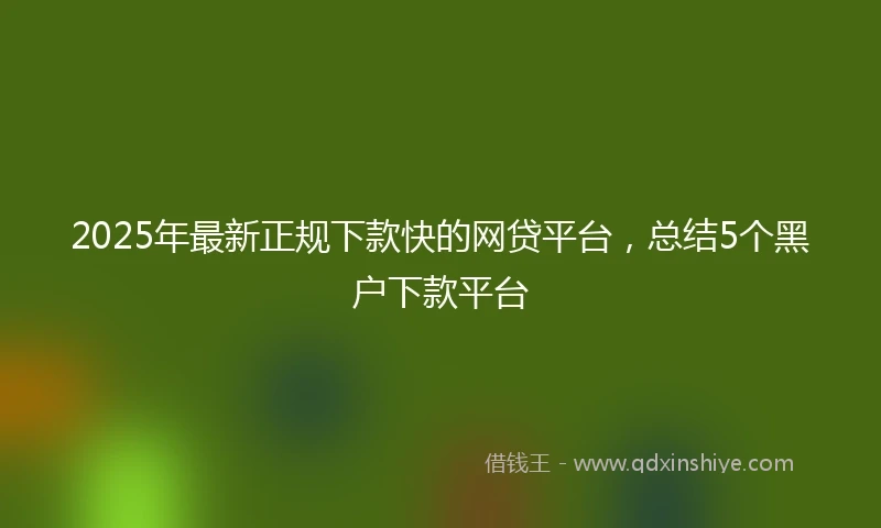 2025年最新正规下款快的网贷平台，总结5个黑户下款平台