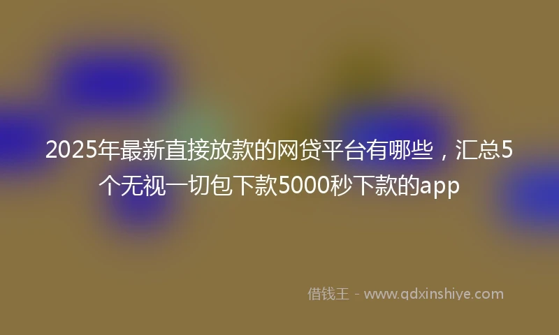 2025年最新直接放款的网贷平台有哪些，汇总5个无视一切包下款5000秒下款的app