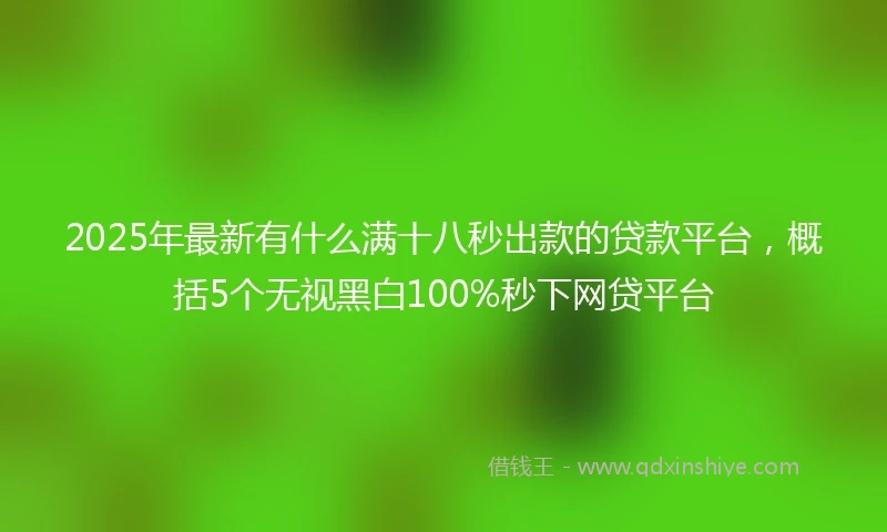 2025年最新有什么满十八秒出款的贷款平台，概括5个无视黑白100%秒下网贷平台