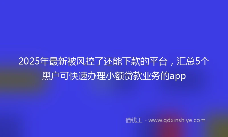2025年最新被风控了还能下款的平台,汇总5个黑户可快速办理小额贷款业务的app