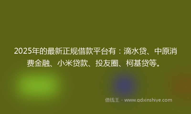 2025年的最新正规借款平台有：滴水贷、中原消费金融、小米贷款、投友圈、柯基贷等。