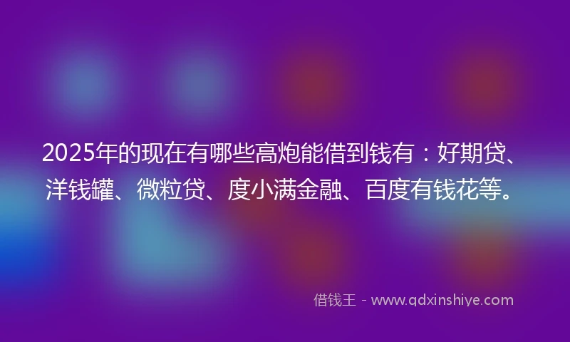 2025年的现在有哪些高炮能借到钱有：好期贷、洋钱罐、微粒贷、度小满金融、百度有钱花等。