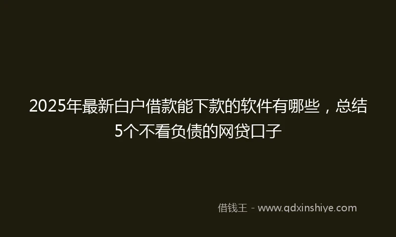 2025年最新白户借款能下款的软件有哪些，总结5个不看负债的网贷口子