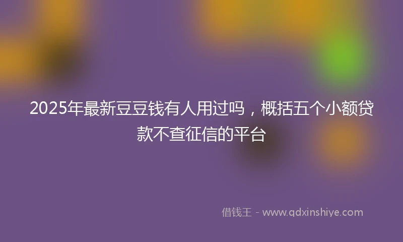 2025年最新豆豆钱有人用过吗，概括五个小额贷款不查征信的平台