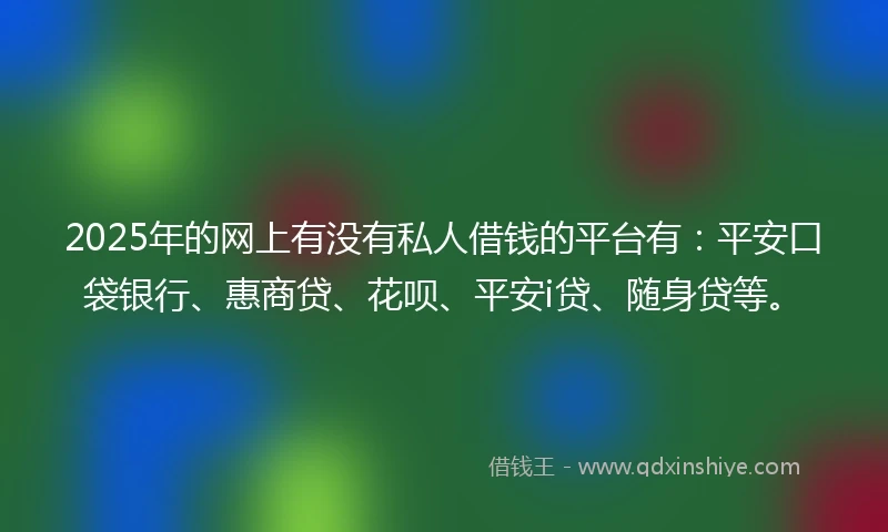 2025年的网上有没有私人借钱的平台有：平安口袋银行、惠商贷、花呗、平安i贷、随身贷等。