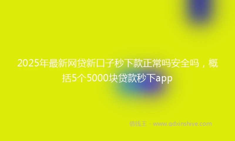 2025年最新网贷新口子秒下款正常吗安全吗，概括5个5000块贷款秒下app
