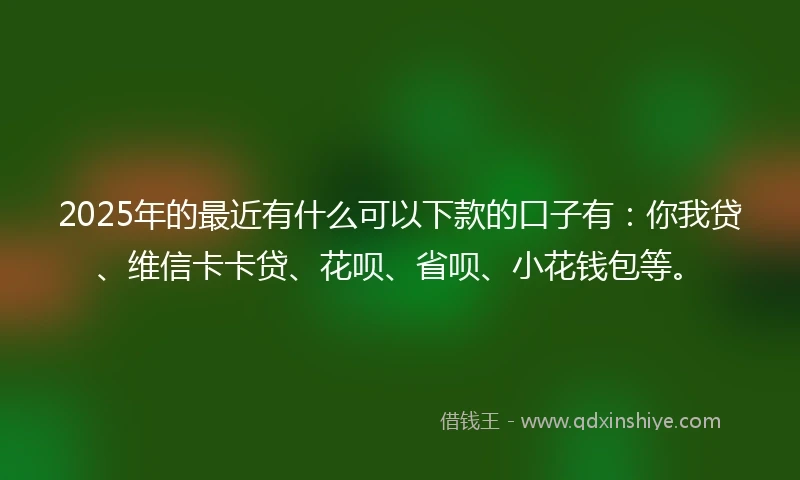 2025年的最近有什么可以下款的口子有：你我贷、维信卡卡贷、花呗、省呗、小花钱包等。