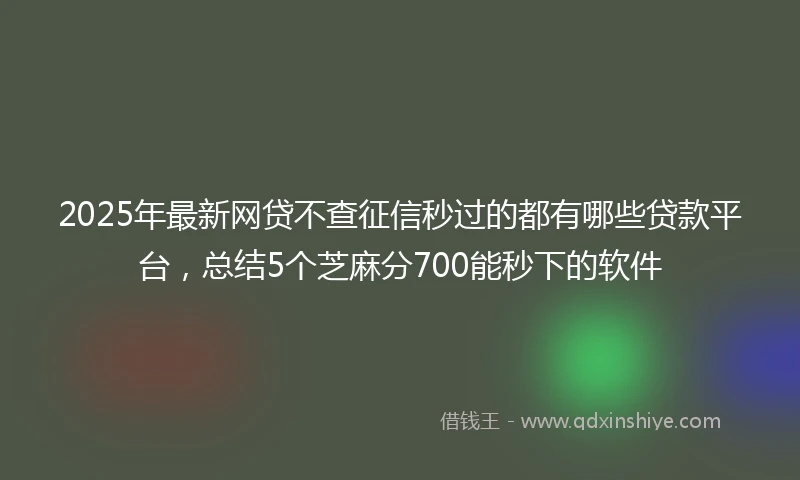 2025年最新网贷不查征信秒过的都有哪些贷款平台，总结5个芝麻分700能秒下的软件