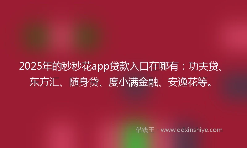 2025年的秒秒花app贷款入口在哪有：功夫贷、东方汇、随身贷、度小满金融、安逸花等。