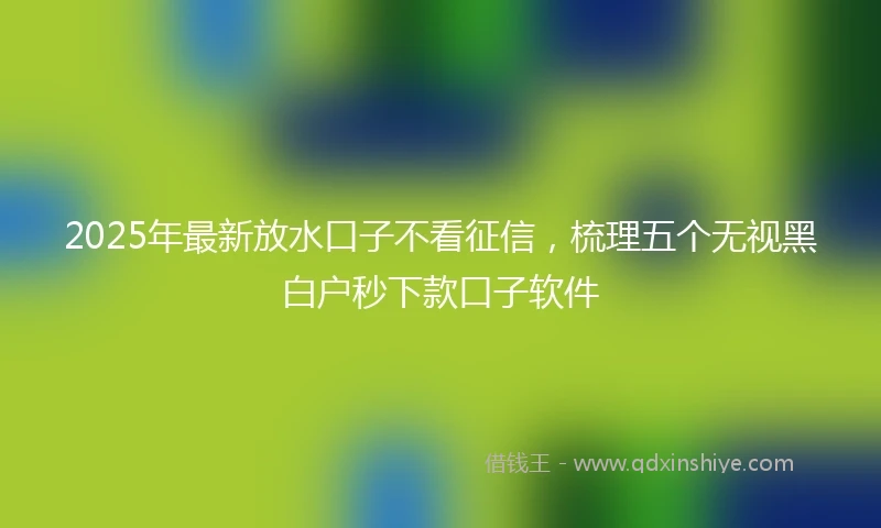 2025年最新放水口子不看征信，梳理五个无视黑白户秒下款口子软件