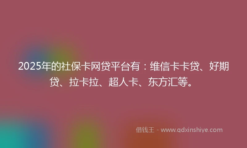 2025年的社保卡网贷平台有：维信卡卡贷、好期贷、拉卡拉、超人卡、东方汇等。