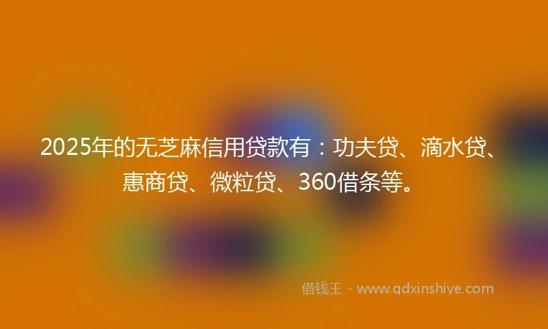 2025年的无芝麻信用贷款有：功夫贷、滴水贷、惠商贷、微粒贷、360借条等。