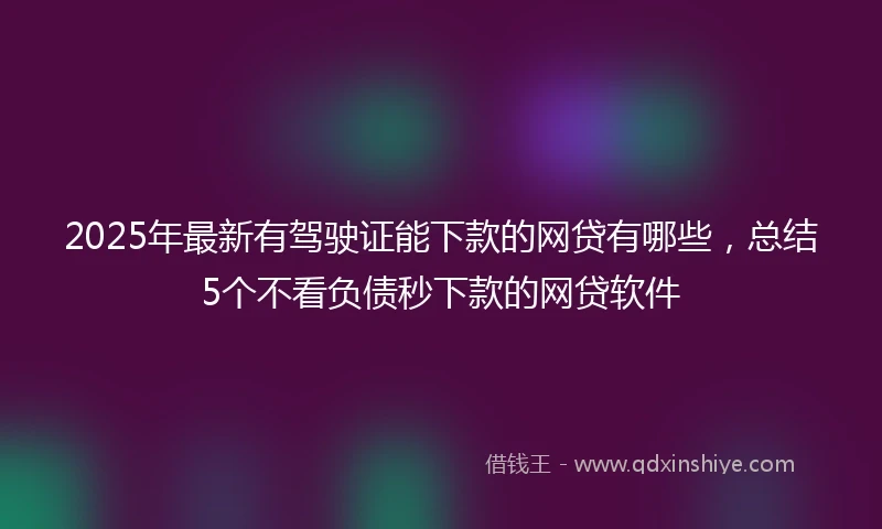2025年最新有驾驶证能下款的网贷有哪些,总结5个不看负债秒下款的网贷软件