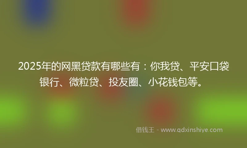 2025年的网黑贷款有哪些有：你我贷、平安口袋银行、微粒贷、投友圈、小花钱包等。