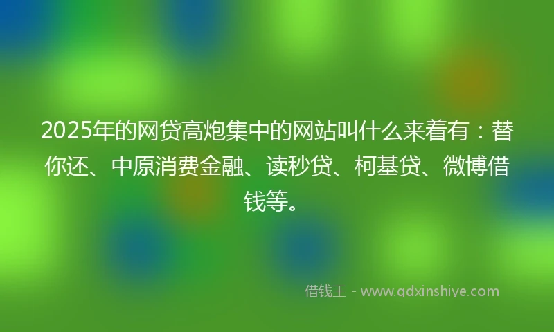 2025年的网贷高炮集中的网站叫什么来着有：替你还、中原消费金融、读秒贷、柯基贷、微博借钱等。
