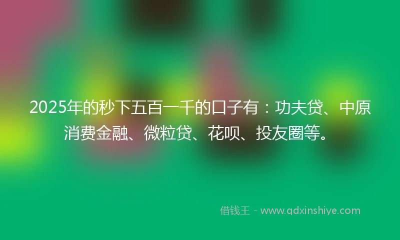 2025年的秒下五百一千的口子有：功夫贷、中原消费金融、微粒贷、花呗、投友圈等。
