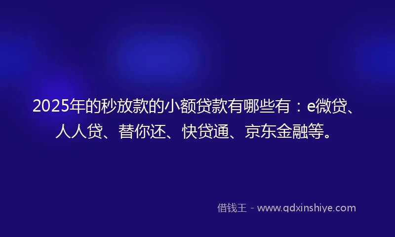 2025年的秒放款的小额贷款有哪些有：e微贷、人人贷、替你还、快贷通、京东金融等。