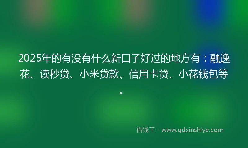 2025年的有没有什么新口子好过的地方有：融逸花、读秒贷、小米贷款、信用卡贷、小花钱包等。